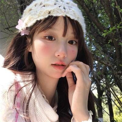 总统的危机